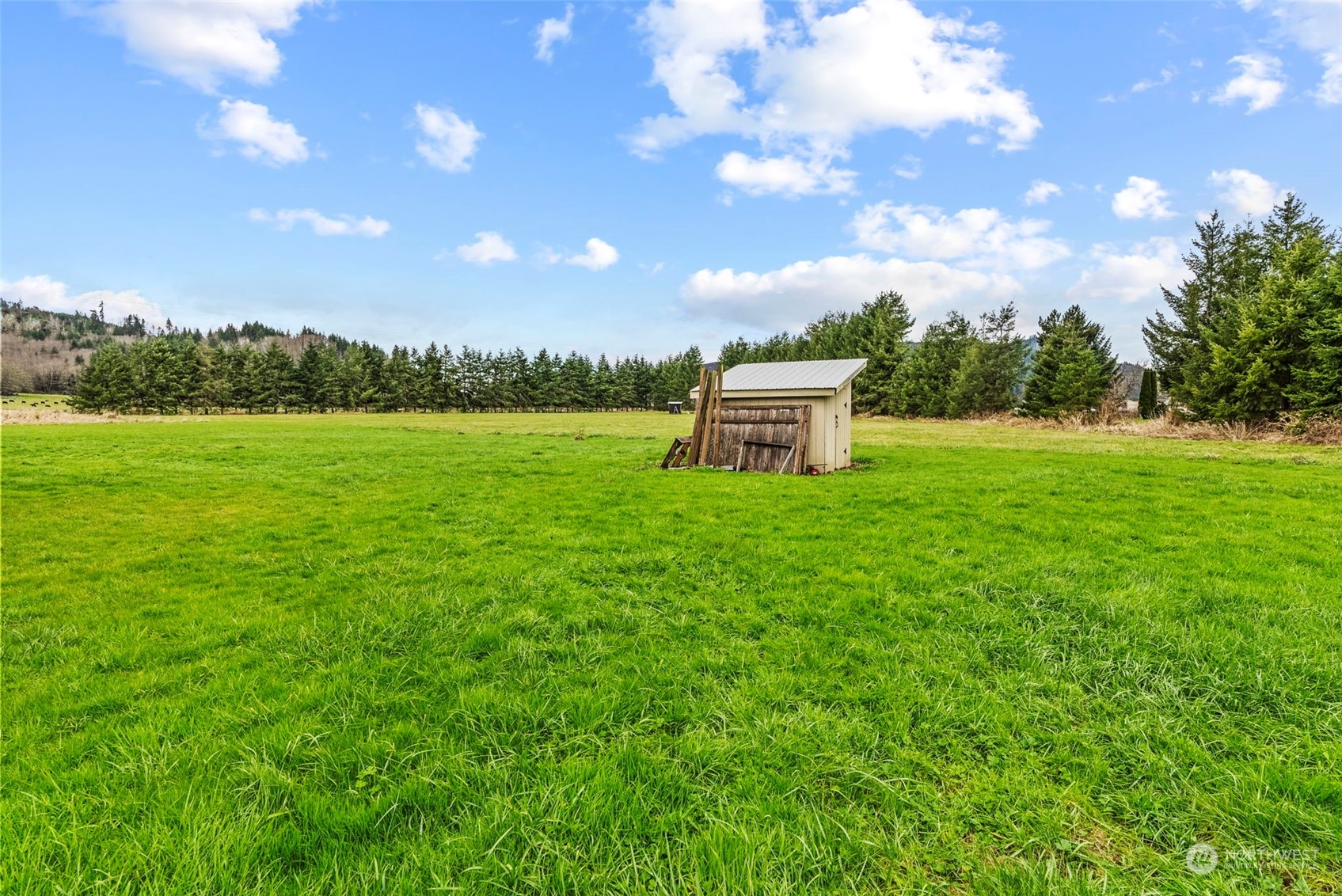 280 East Valley Road Skamokawa, WA 98647 - Photo 25 of 30 a view of a big yard with table and chairs