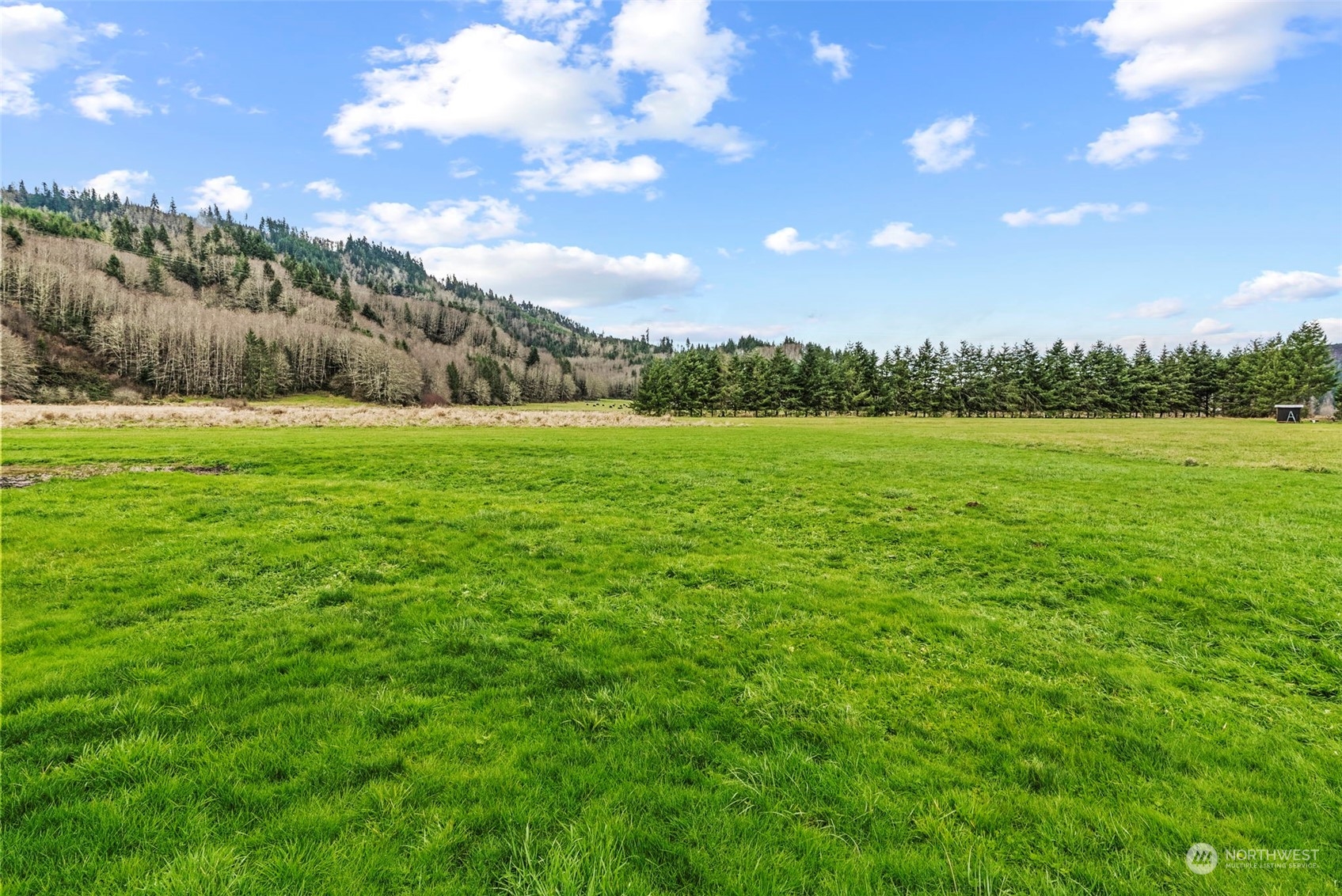 280 East Valley Road Skamokawa, WA 98647 - Photo 26 of 30 a view of an outdoor space and yard