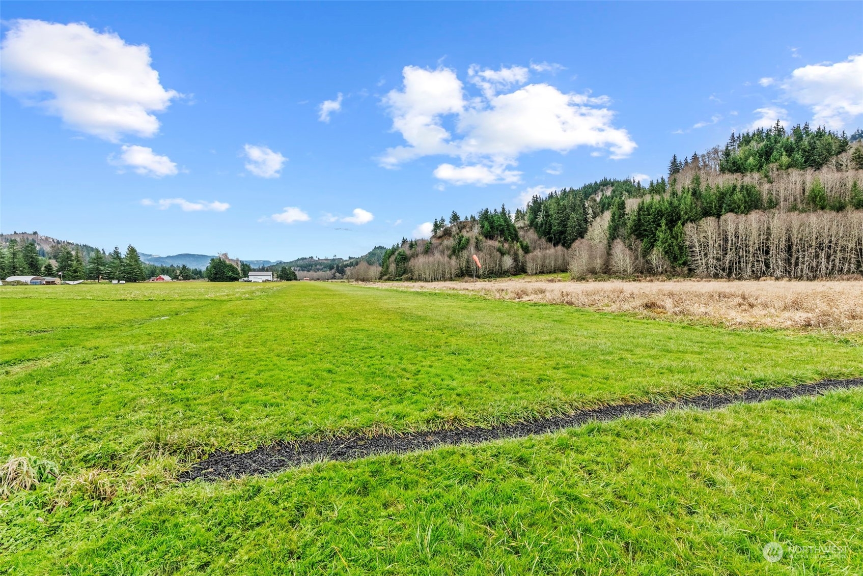 280 East Valley Road Skamokawa, WA 98647 - Photo 28 of 30 a view of yard with grass and a building