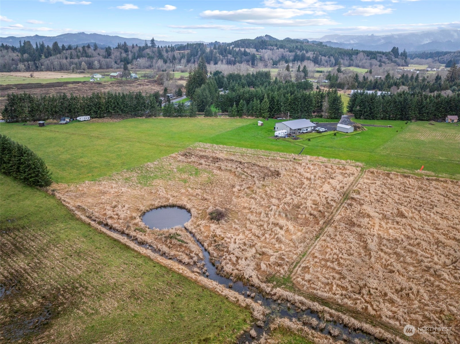 280 East Valley Road Skamokawa, WA 98647 - Photo 5 of 30 a view of a field with a mountain in the background