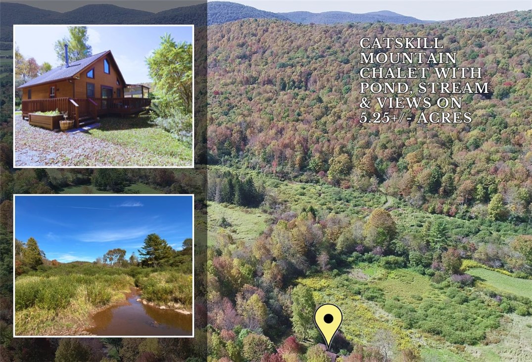 995 Betty Brook Road Kortright, NY 13842 - Photo 1 of 1 Gallery Image 1