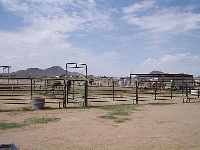 20905 West Telegram Path Road Buckeye, AZ 85326 - Photo 3 of 3 Additional Photo