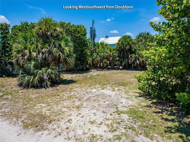 a view of a yard with an trees