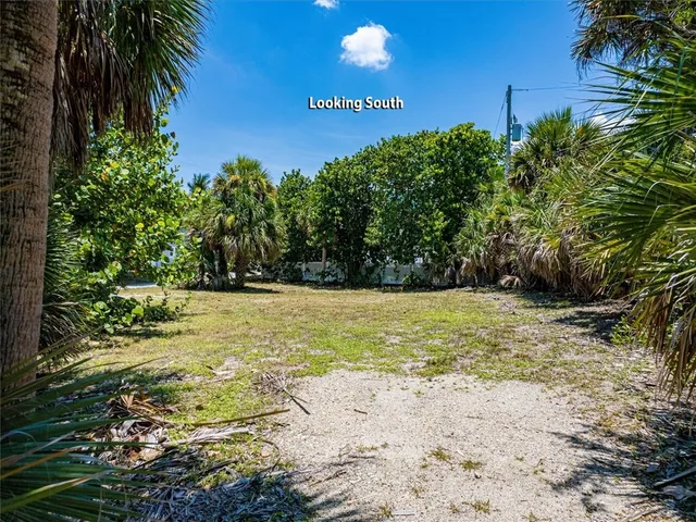 a view of a yard with trees