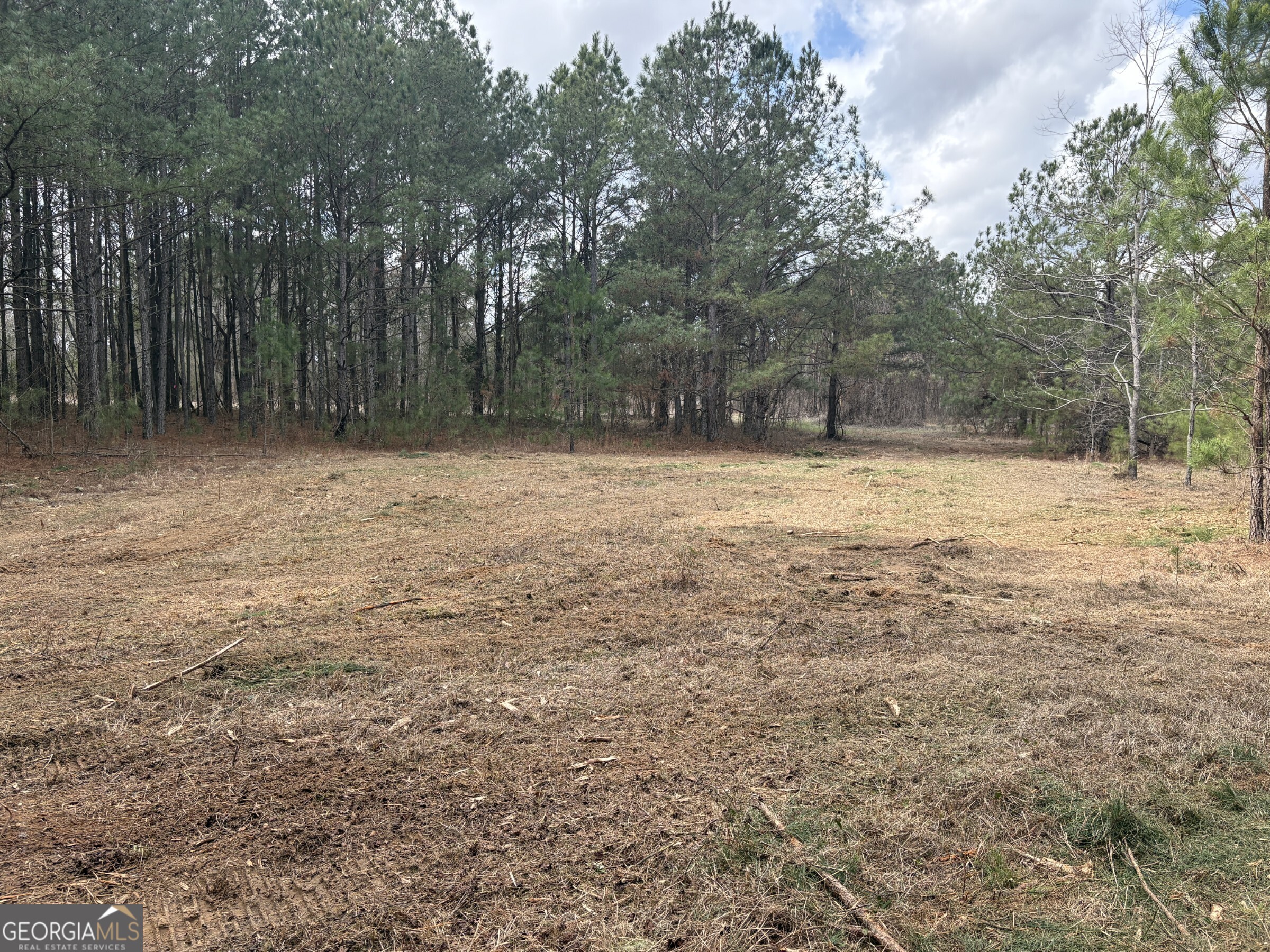 L2 Keysville-boggs Academy Road Keysville, GA 30816 - Photo 4 of 6