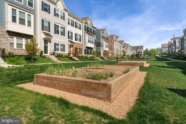 a garden view with a big yard