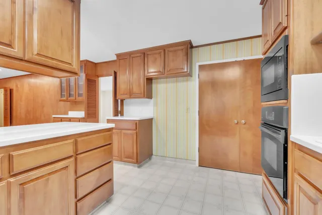 a view of a backyard with plants and a bench