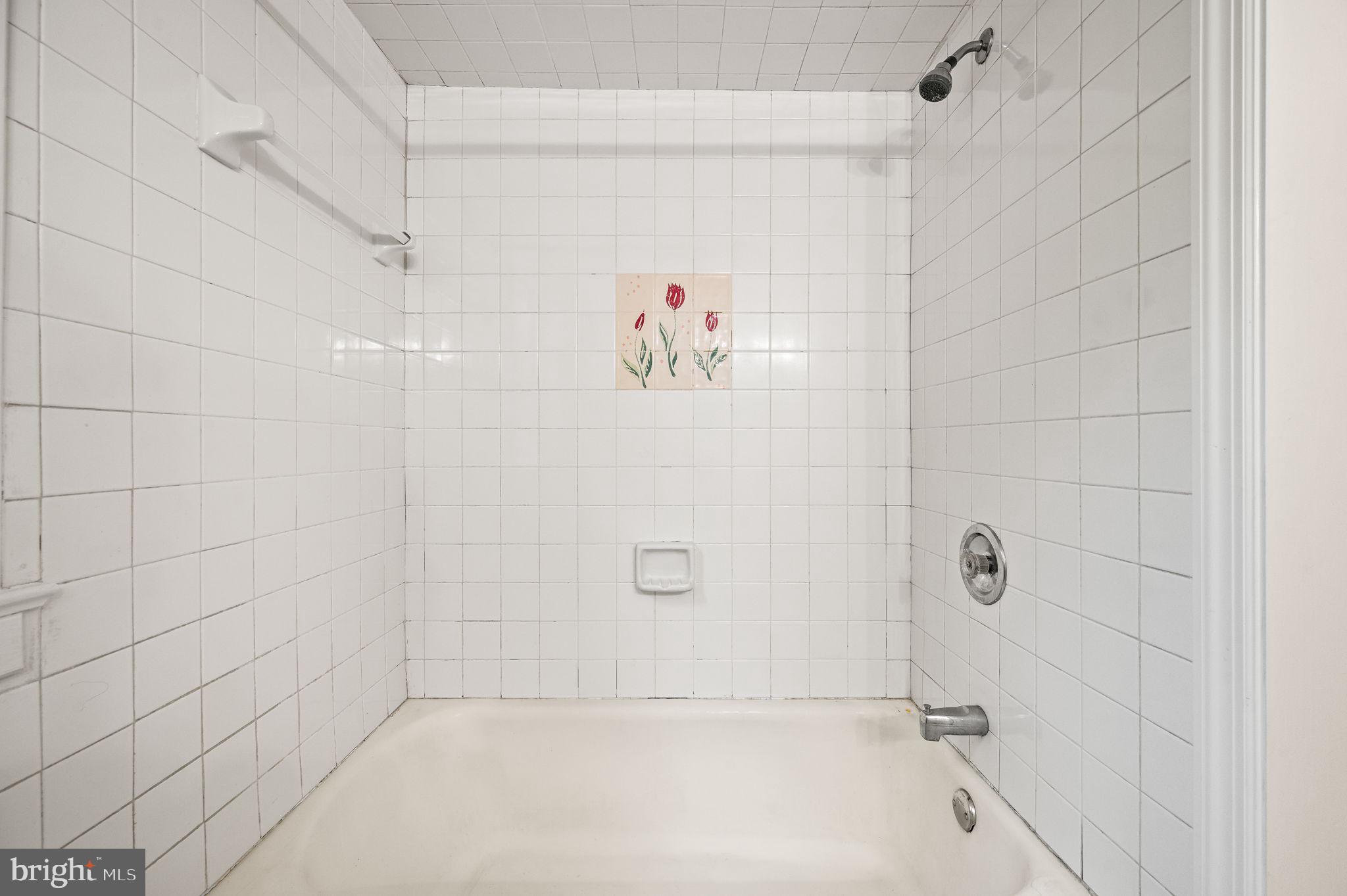 101 West Rose Valley Road Rose Valley, PA 19086 - Photo 62 of 65 Shower Tub in 103 W Rose Valley