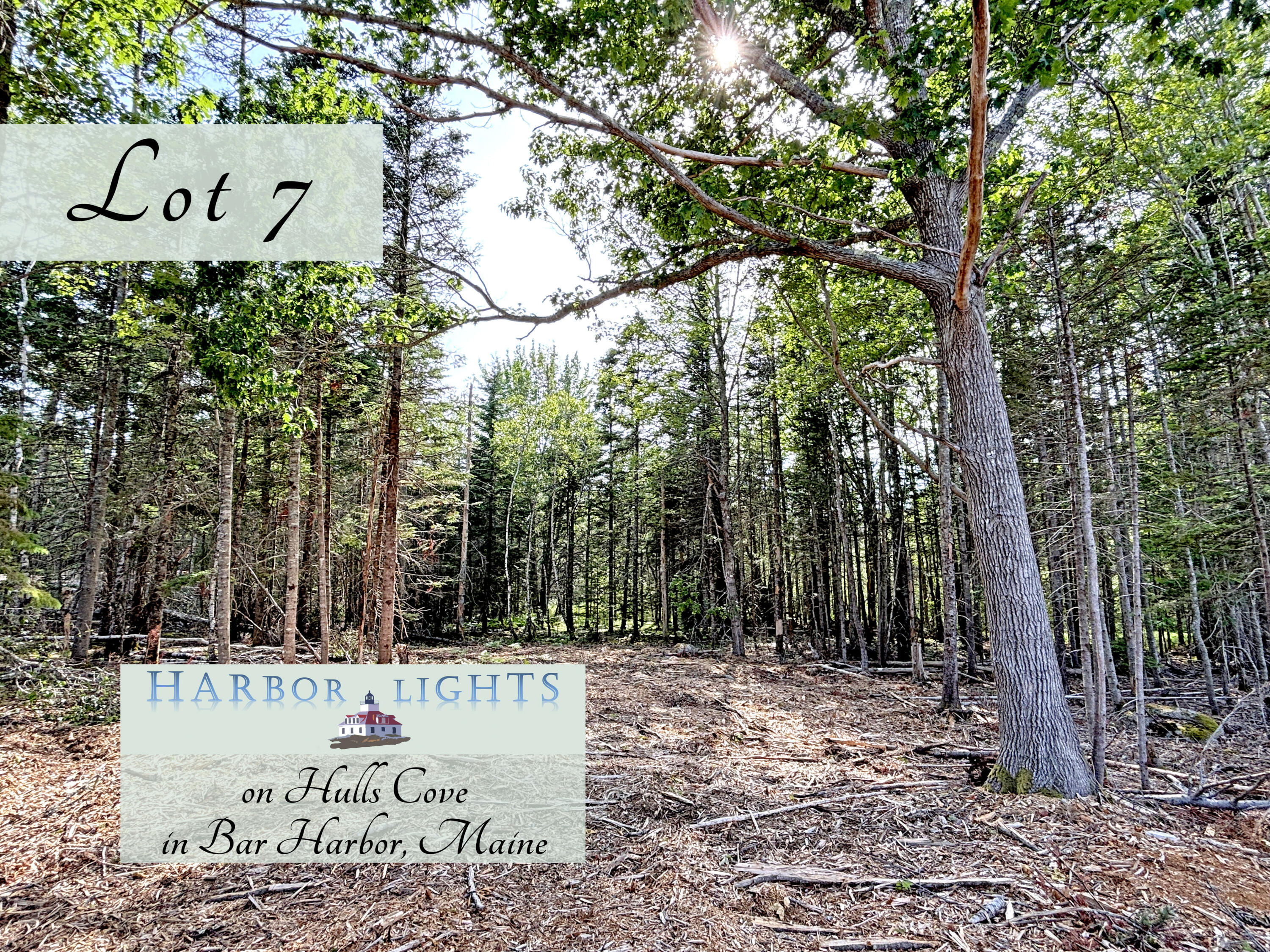 7 Harbor Lane Bar Harbor, ME 04609 - Photo 1 of 25 lot 7, cover