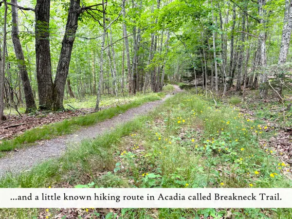 $275,000 | 7 Harbor Lane, Bar Harbor, ME 04609