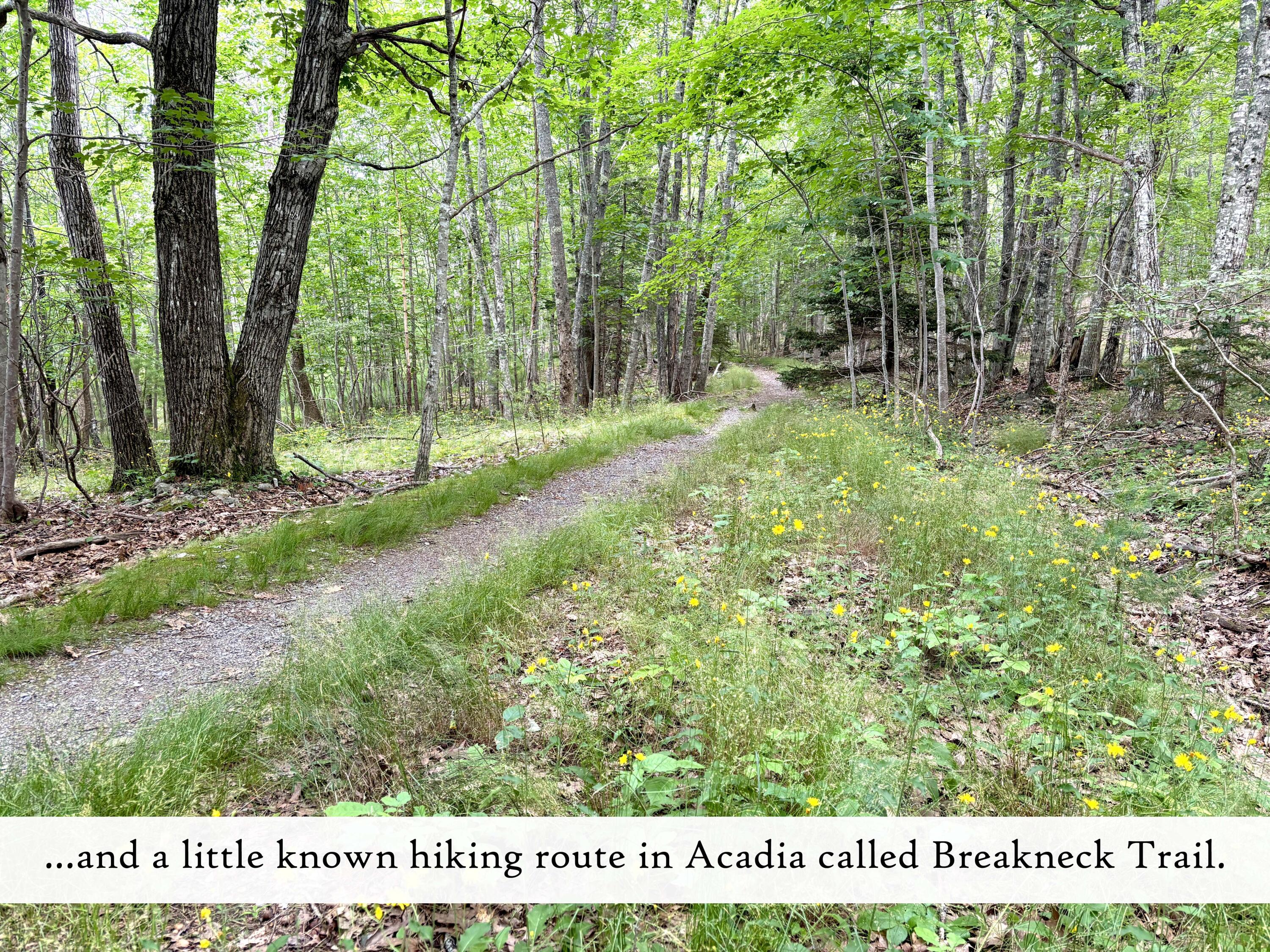 7 Harbor Lane Bar Harbor, ME 04609 - Photo 21 of 25 Breakneck Trail, label