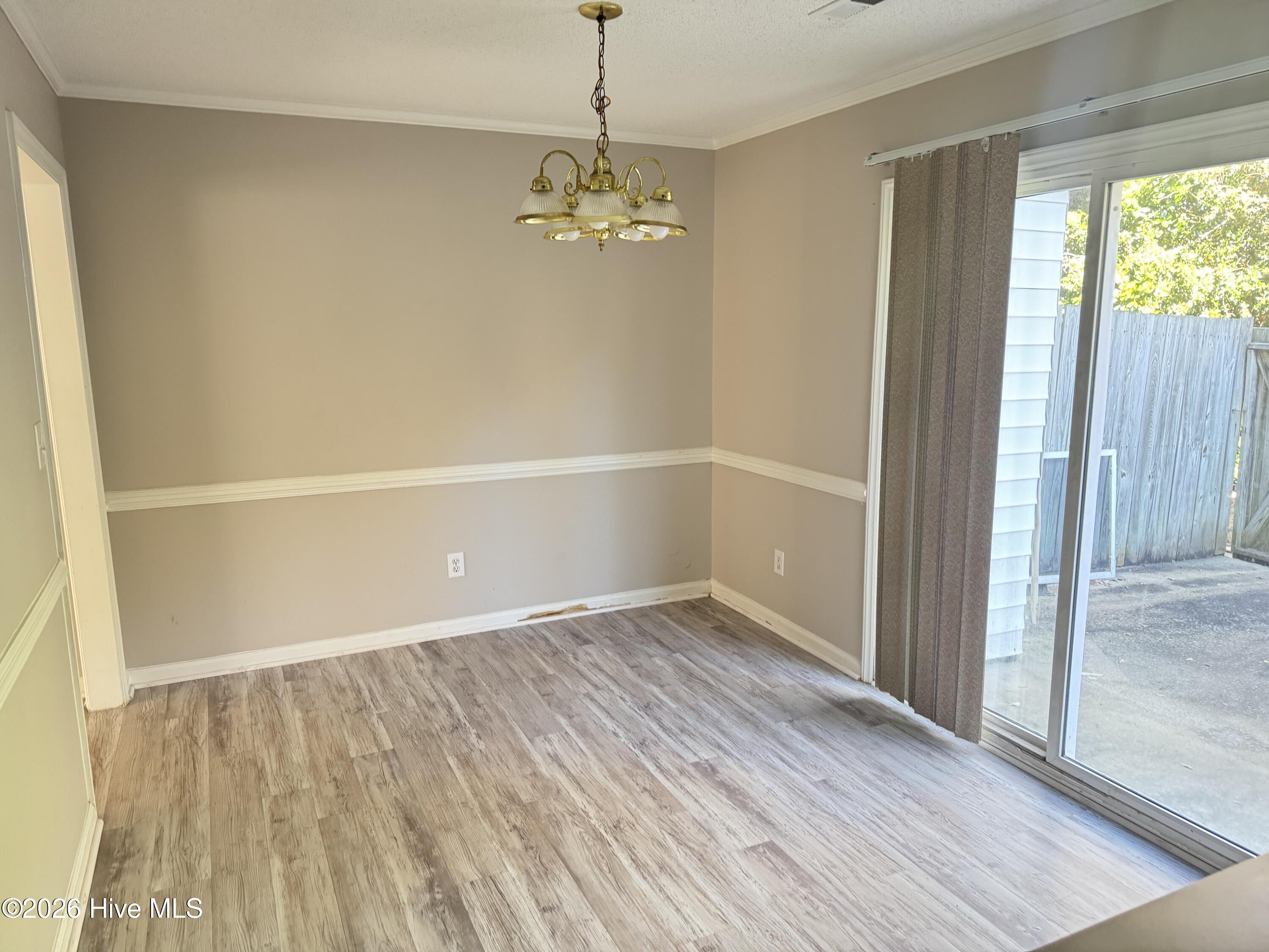 985 Spring Forest Road, Unit C5 Greenville, NC 27834 - Photo 6 of 13 IMG_9705