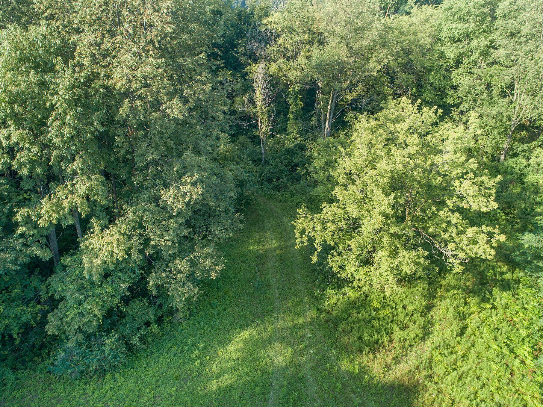 Vl McCain Road Jackson, MI 49201 - Photo 13 of 18 1-ZNWfqg