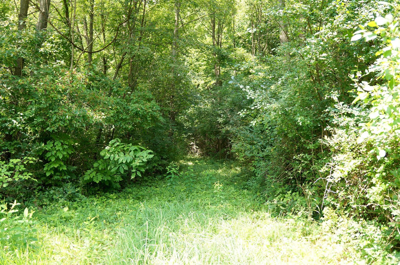 Vl McCain Road Jackson, MI 49201 - Photo 4 of 18 3 (Large)