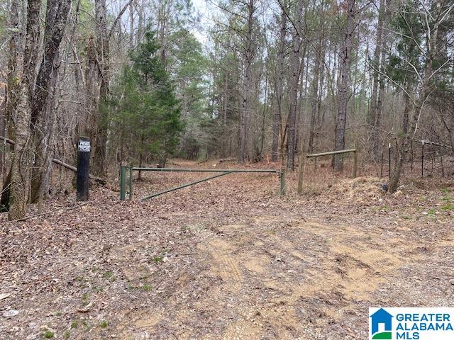 0 Forest Service Road Talladega, AL 35160 - Photo 3 of 3