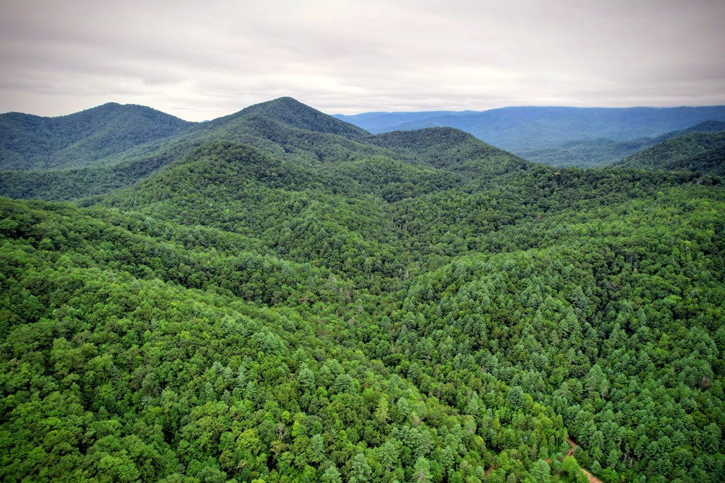 0 Flea Mountain Road Murphy, NC 28906 - Photo 48 of 54