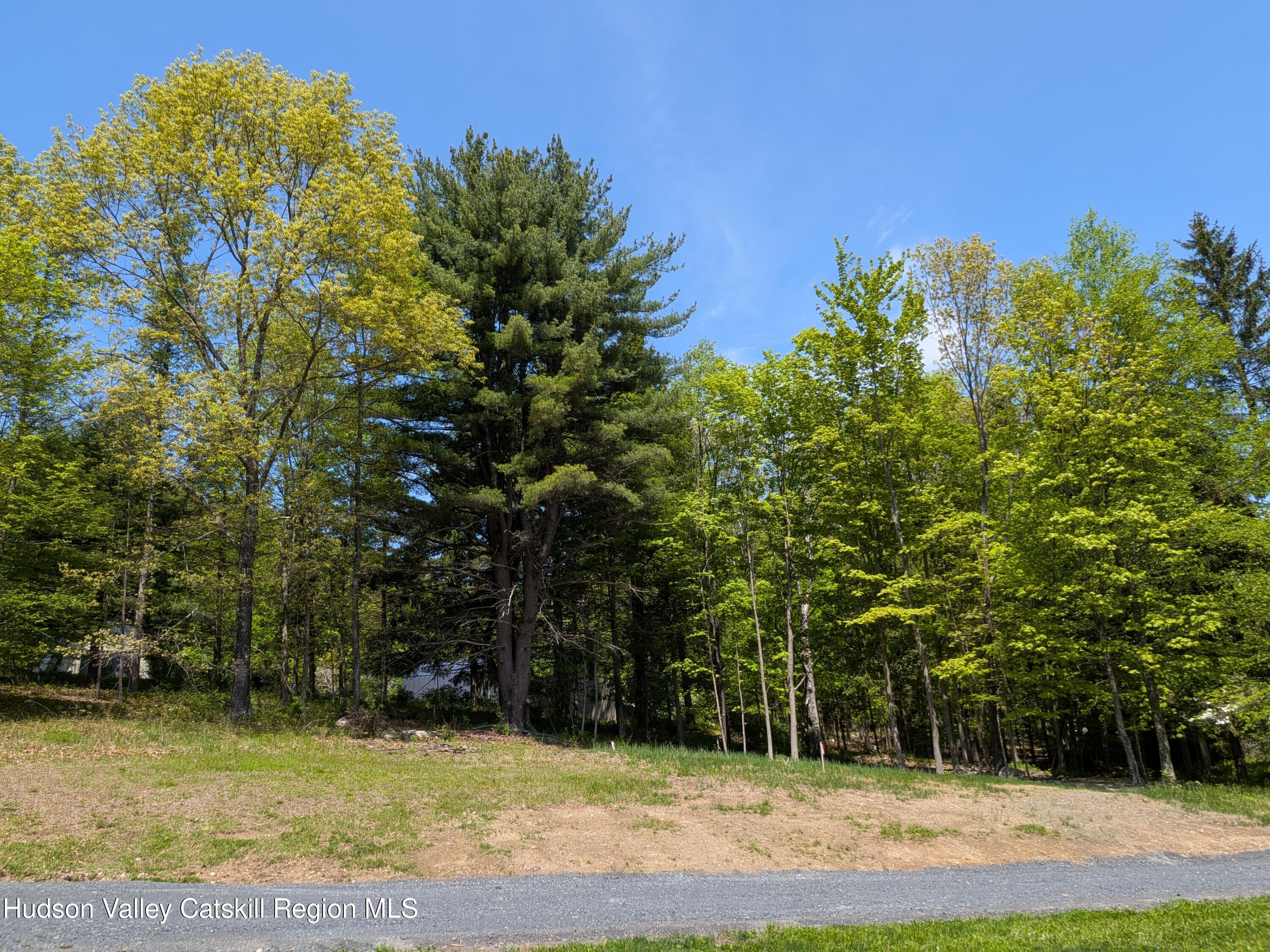 513 South Mountain Road Gardiner, NY 12525 - Photo 52 of 63 a view of a yard