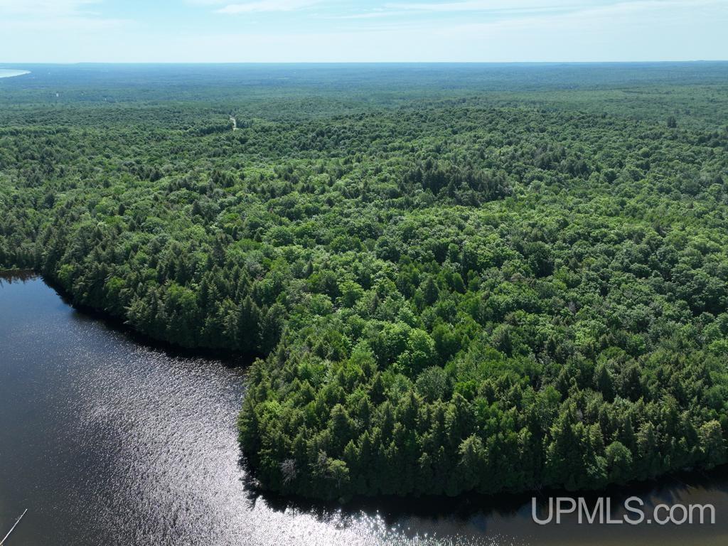 0 County Road 553 Road Marquette, MI 49855 - Photo 11 of 38