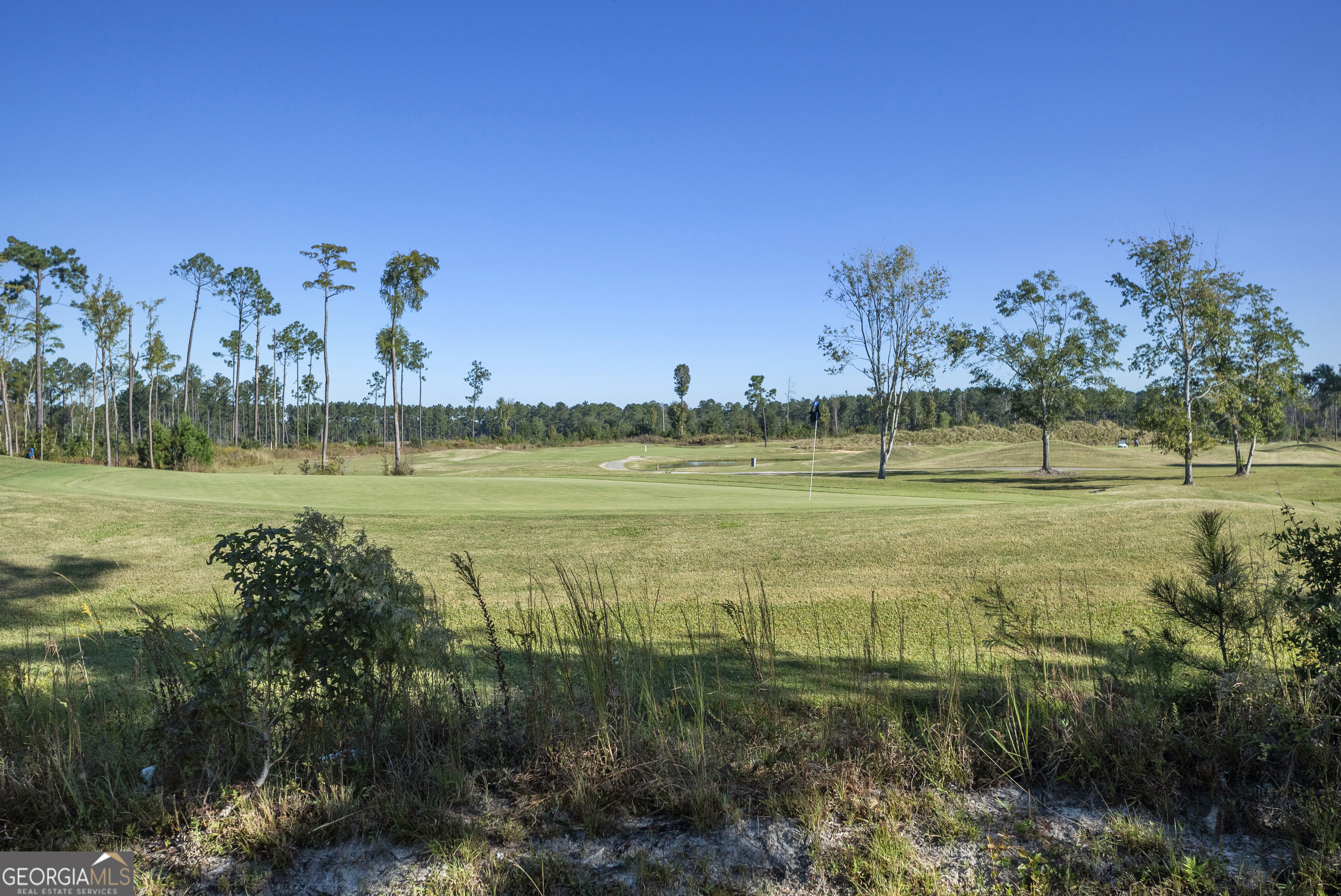 29 Sterling Court Ellabell, GA 31308 - Photo 36 of 40 a view of a lake with a big yard