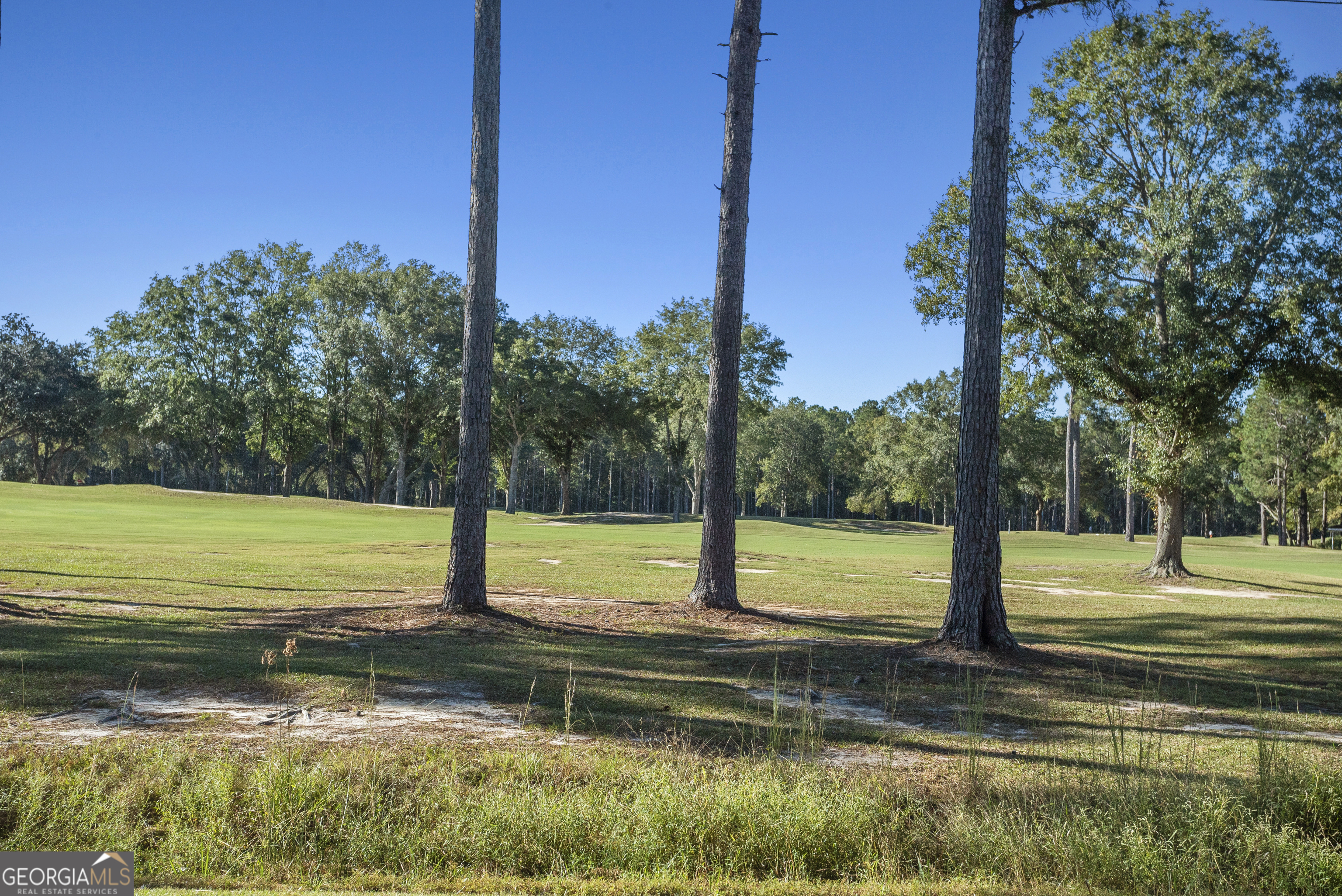 29 Sterling Court Ellabell, GA 31308 - Photo 37 of 40