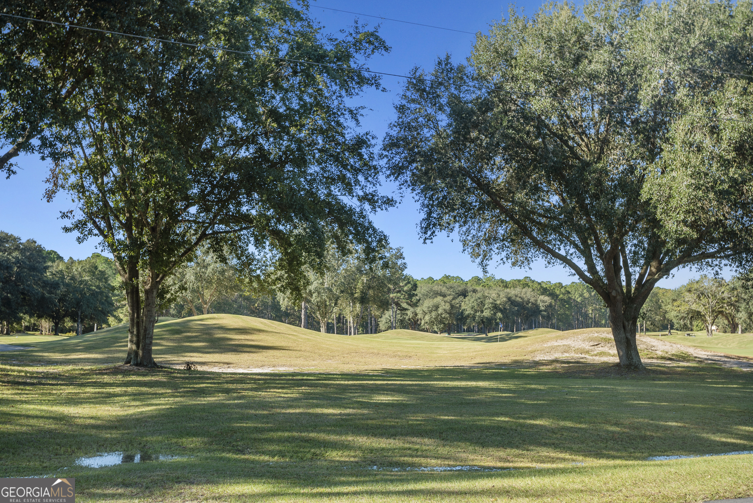 29 Sterling Court Ellabell, GA 31308 - Photo 38 of 40 a view of a sink with yard