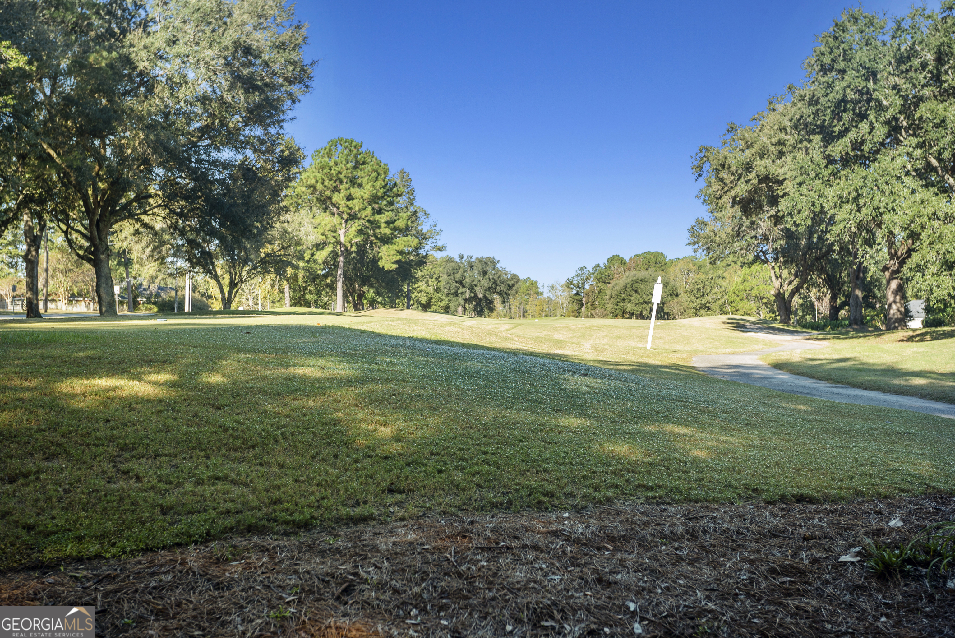 29 Sterling Court Ellabell, GA 31308 - Photo 40 of 40 a view of a grassy field with trees