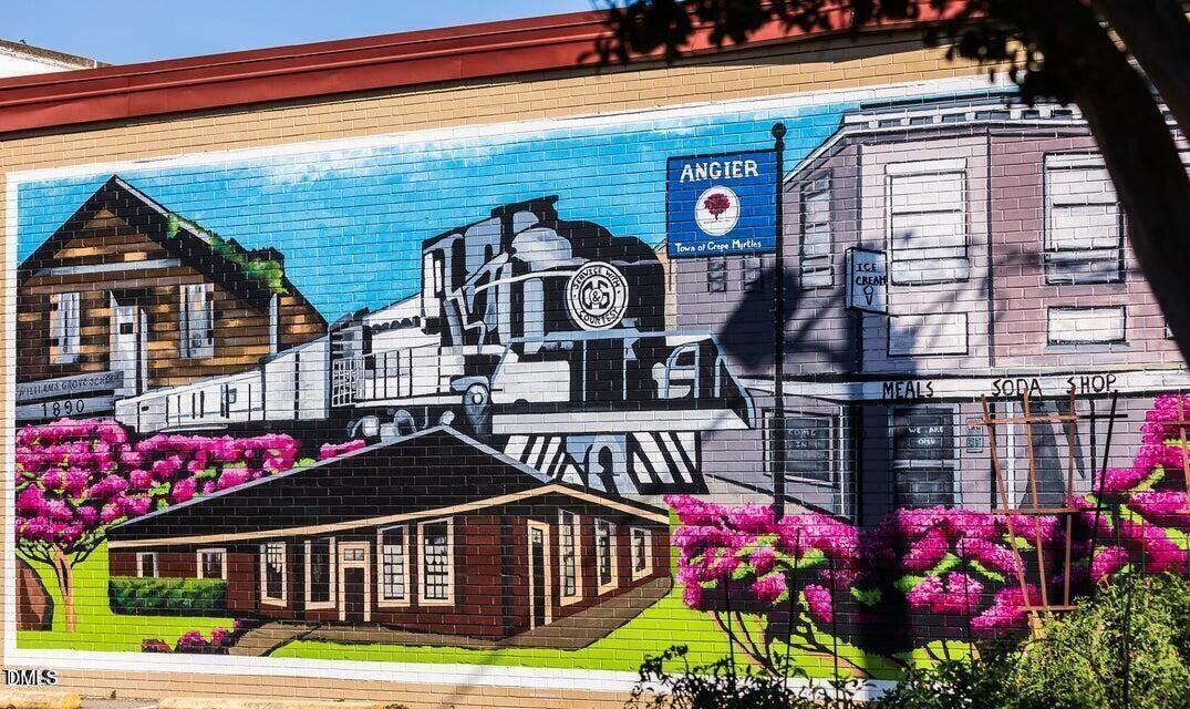 232 Hank Way Angier, NC 27501 - Photo 26 of 49 a front view of a house