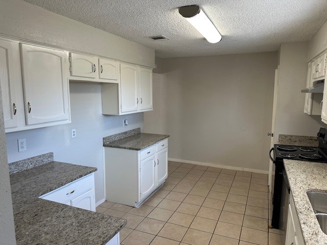 23711 Farm Hill Drive Spring, TX 77373 - Photo 6 of 15