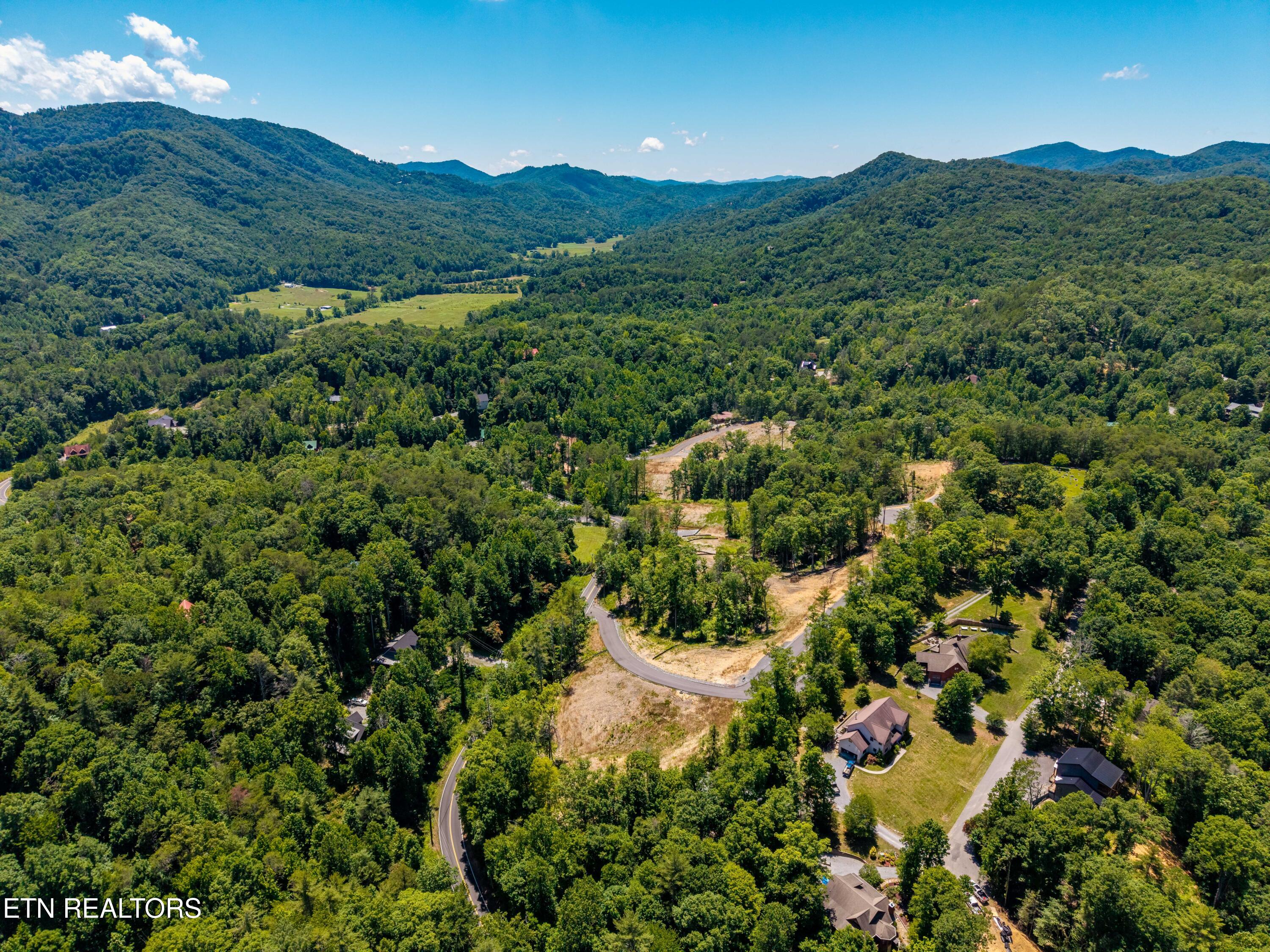 Waldens Creek Road Sevierville, TN 37862 - Photo 18 of 46 WaldensCreekRd-18