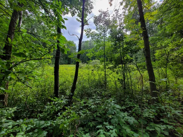 $7,400 | Tbd Ringneck Roost, Garrison, MN 56450