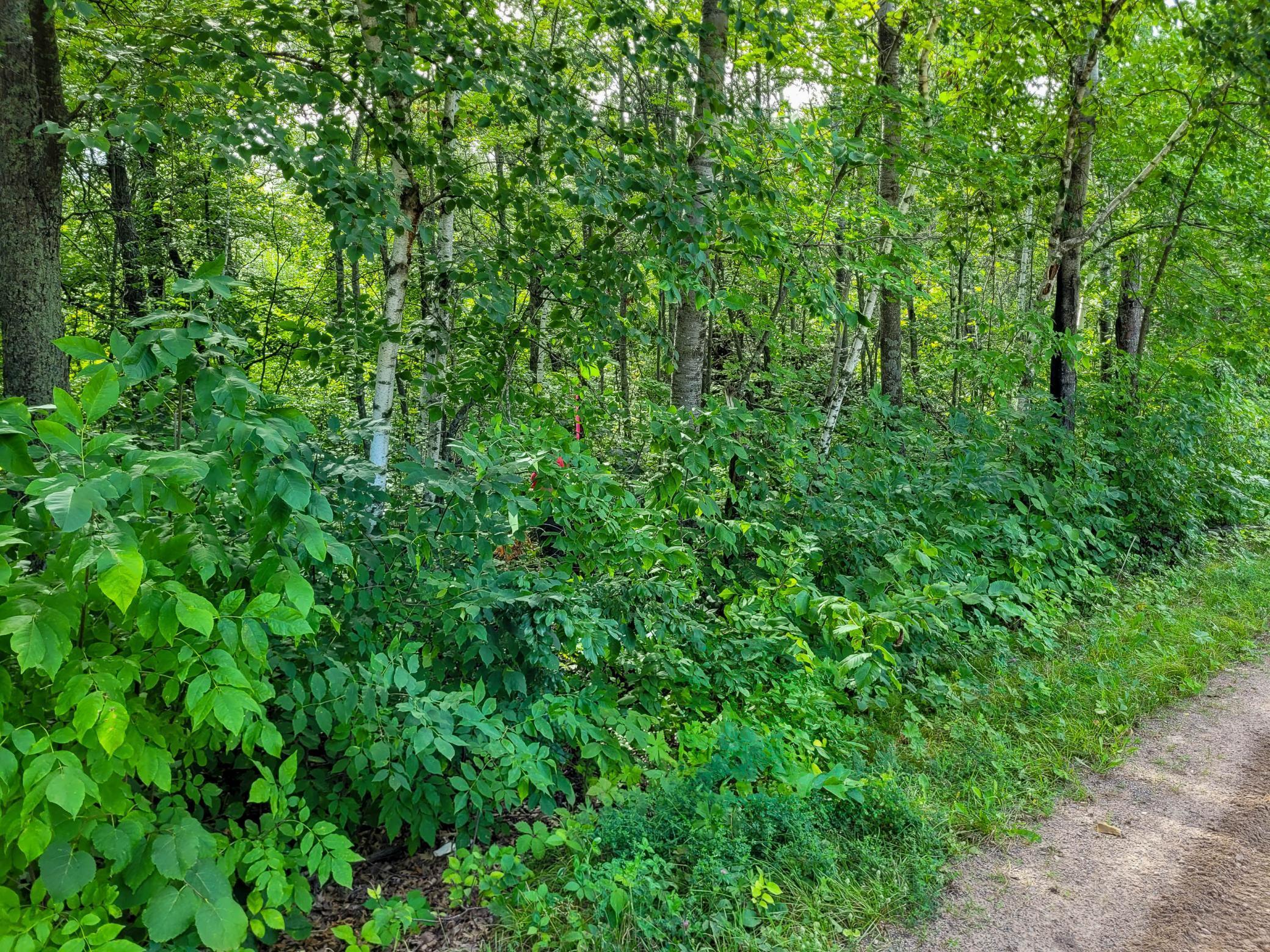 Tbd Ringneck Roost Garrison, MN 56450 - Photo 16 of 19