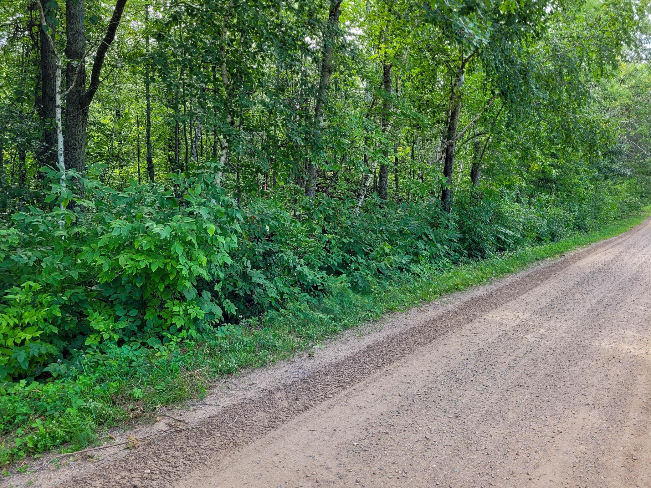 Tbd Ringneck Roost Garrison, MN 56450 - Photo 2 of 19