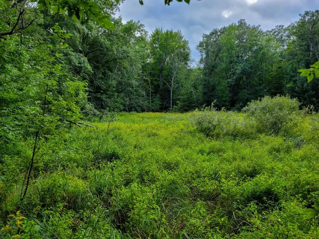 $7,400 | Tbd Ringneck Roost, Garrison, MN 56450