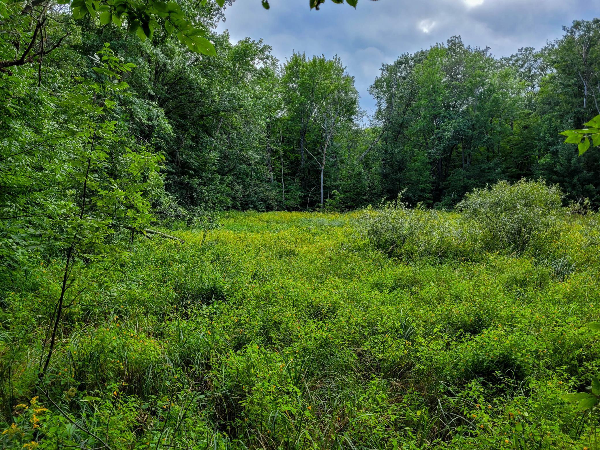 Tbd Ringneck Roost Garrison, MN 56450 - Photo 7 of 19