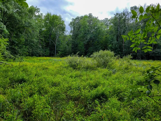 $7,400 | Tbd Ringneck Roost, Garrison, MN 56450