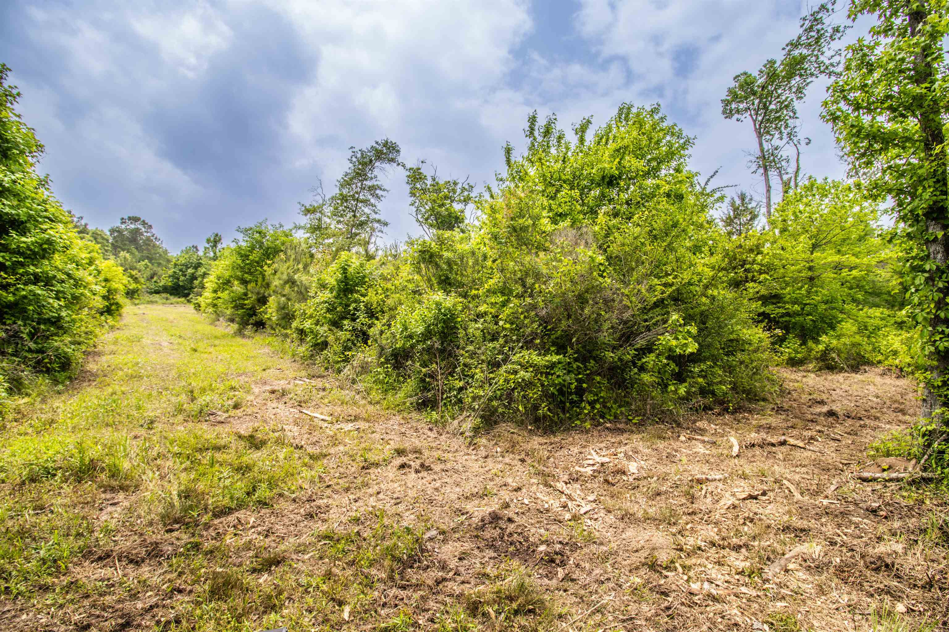 962 Cowpen Road Karnack, TX 75661 - Photo 6 of 21 Gallery Image 6