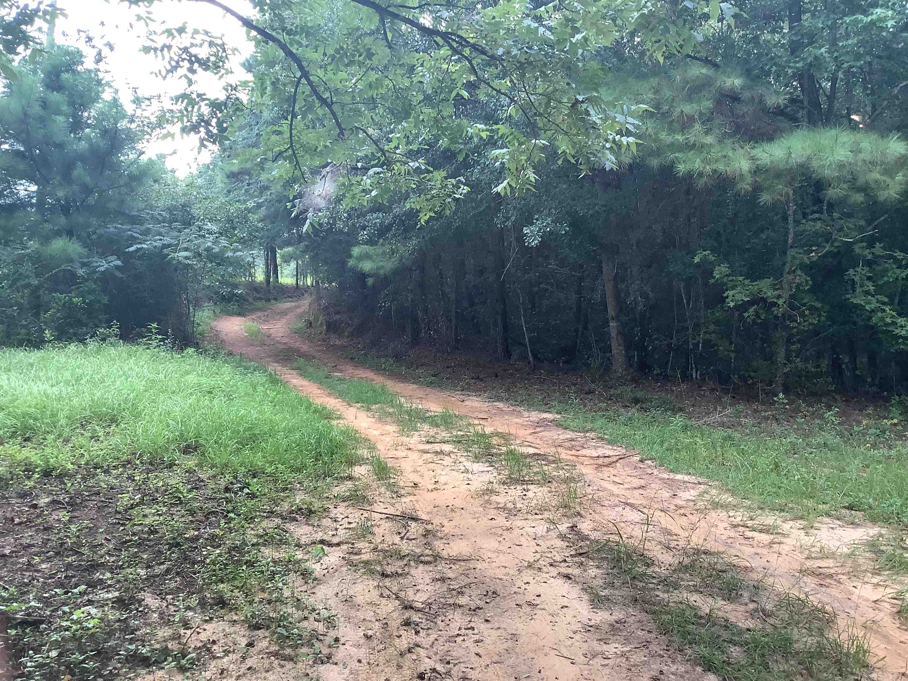 0 Old School Road Opp, AL 36467 - Photo 5 of 24 Gallery Image 5