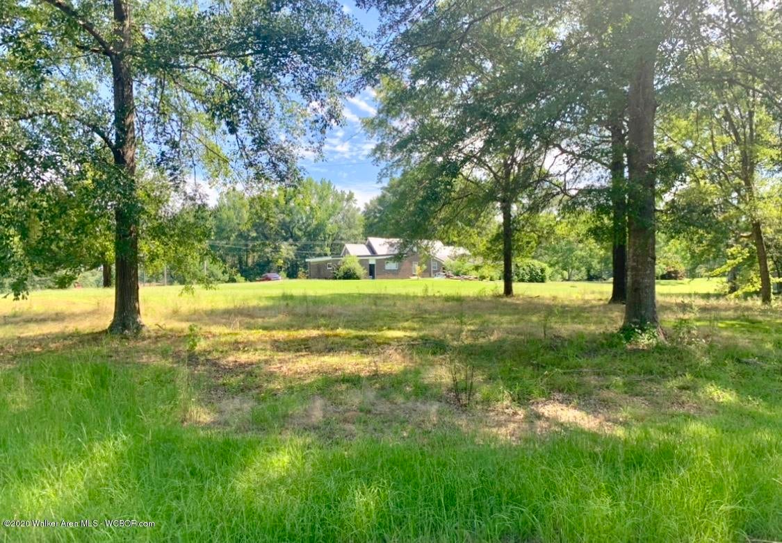 1417 Wolf Road Sulligent, AL 35586 - Photo 16 of 22 Gallery Image 16