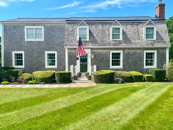 a view of a garden with plants