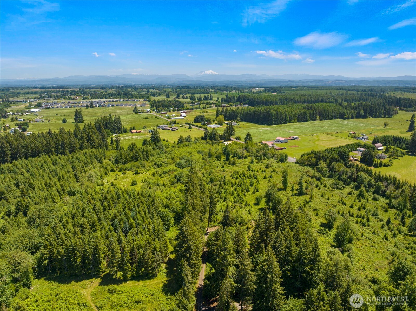 0 Southeast Rice-multiple Mdr/ldr Parcels Winlock, WA 98596 - Photo 11 of 17 a view of a city with lush green forest