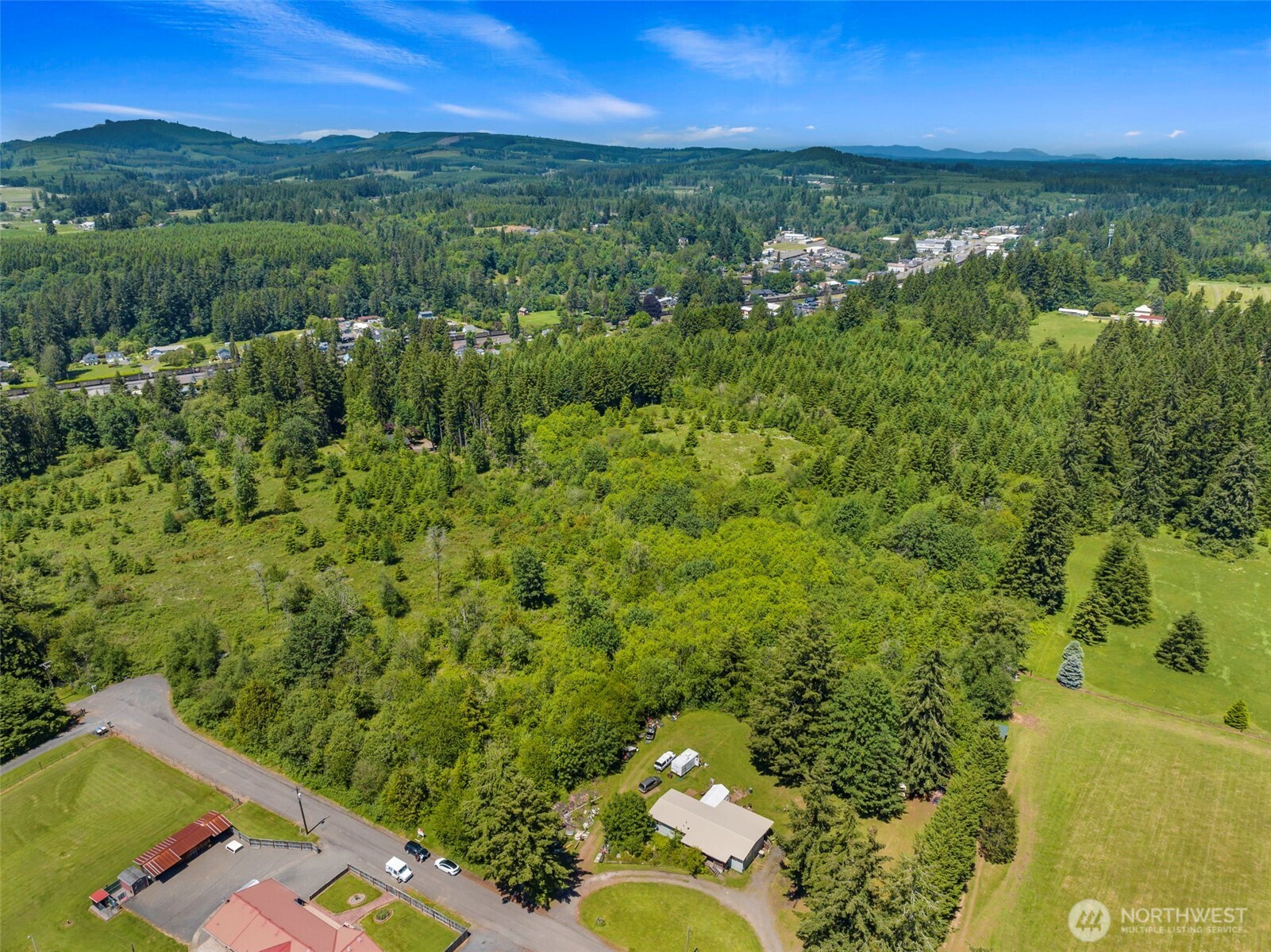 0 Southeast Rice-multiple Mdr/ldr Parcels Winlock, WA 98596 - Photo 4 of 17 a view of a lush green forest with lots of trees