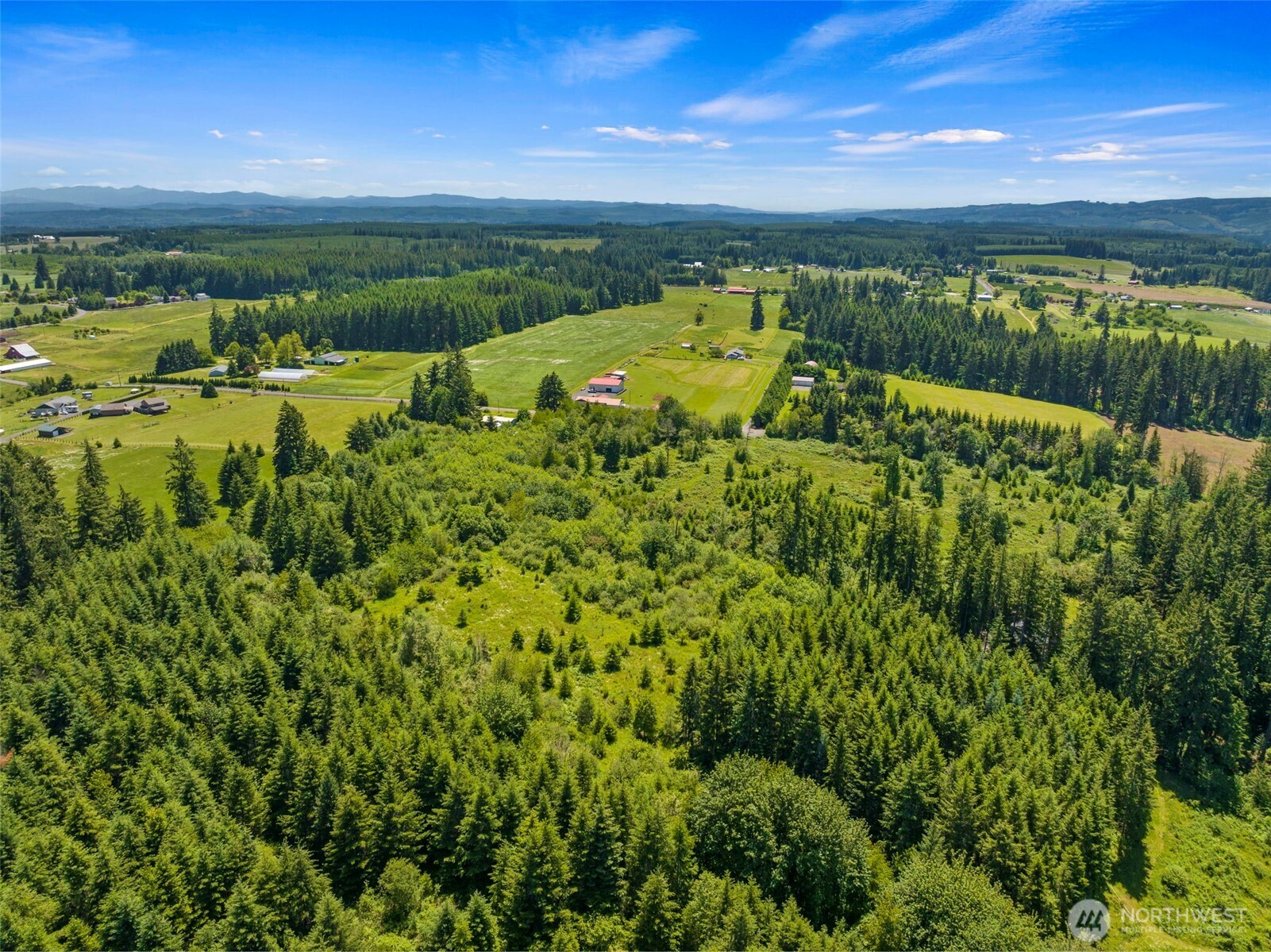 0 Southeast Rice-multiple Mdr/ldr Parcels Winlock, WA 98596 - Photo 9 of 17 a view of a city with lush green forest