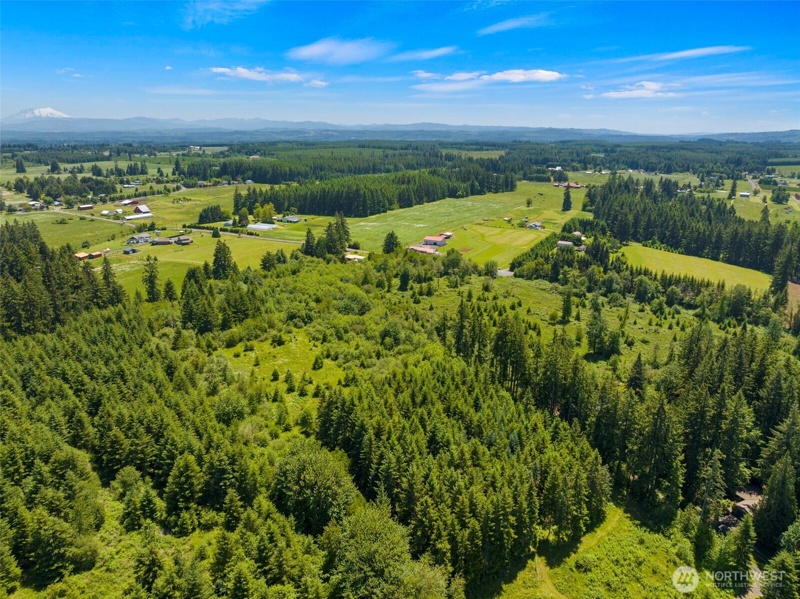 0 Southeast Rice-multiple Mdr/ldr Parcels Winlock, WA 98596 - Photo 10 of 17 a view of a city with lush green forest