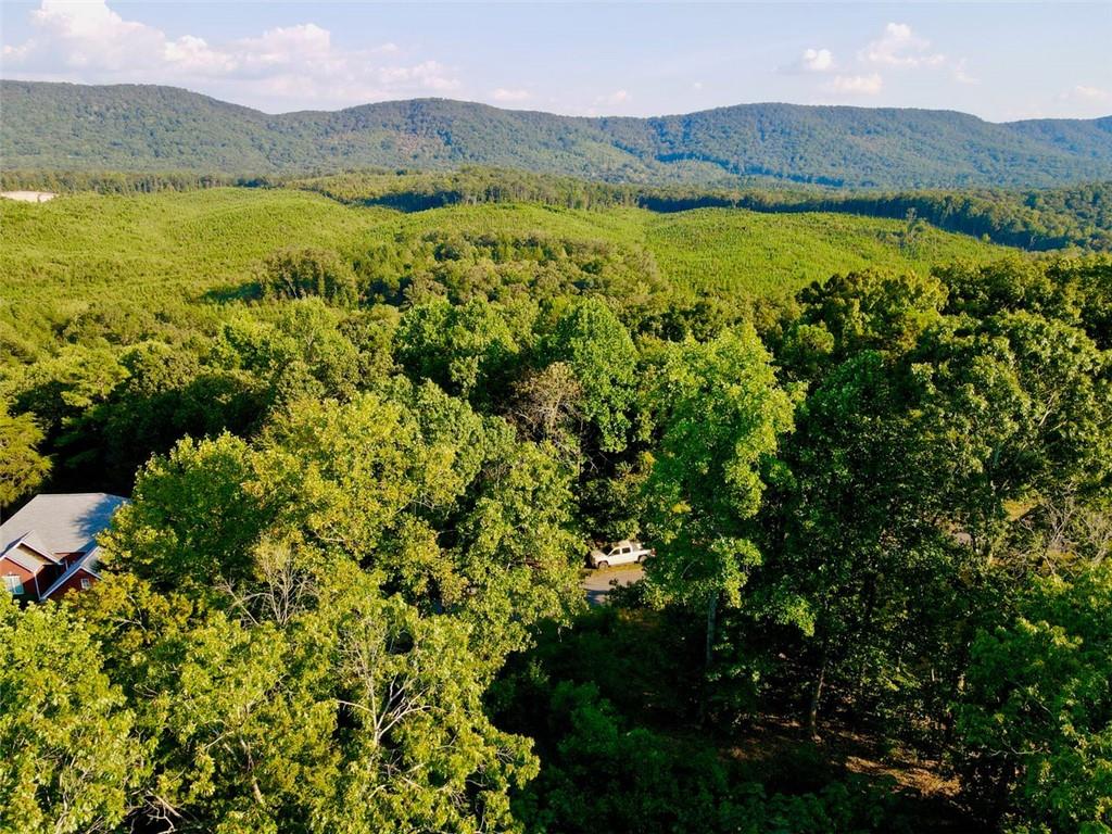 98 Magnolia Ridge Summerville, GA 30747 - Photo 2 of 2 a view of mountain with lake view