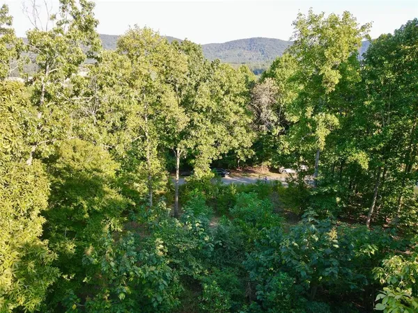 $22,800 | 98 Magnolia Ridge, Summerville, GA 30747