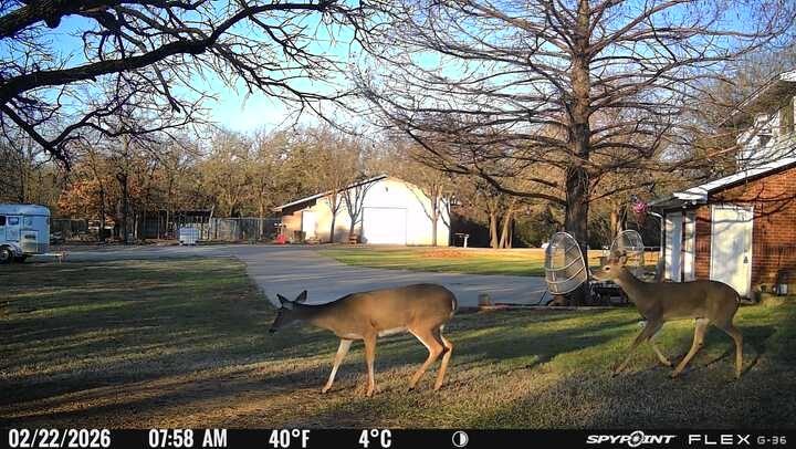1155 Point Vista Road Hickory Creek, TX 75065 - Photo 13 of 37 View of green lawn with an outbuilding and a garage