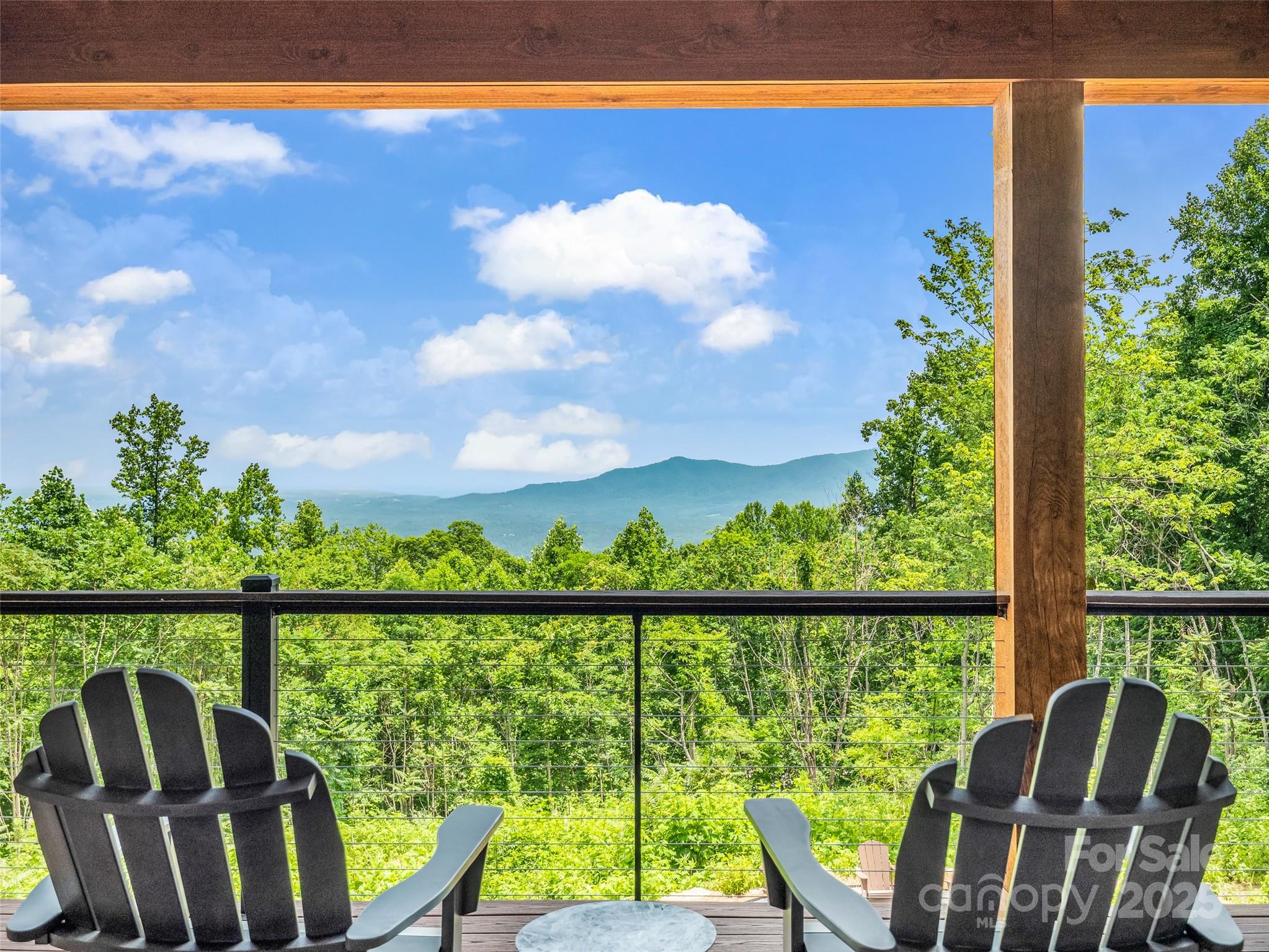 627 Cherry Hill, Unit 201 Mill Spring, NC 28756 - Photo 45 of 48 a view of a balcony with lake view