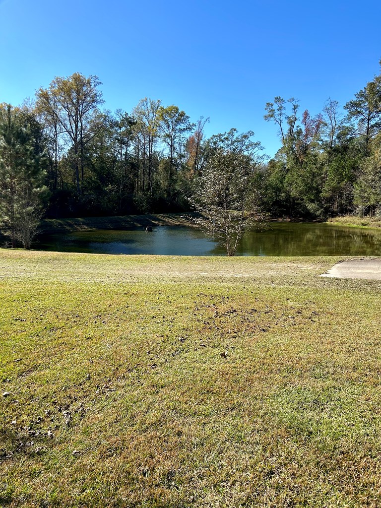 3250 Oil Well Road Flomaton, AL 36441 - Photo 34 of 42