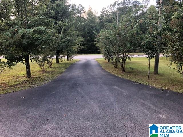 8765 Highway 27 Springville, AL 35146 - Photo 8 of 26