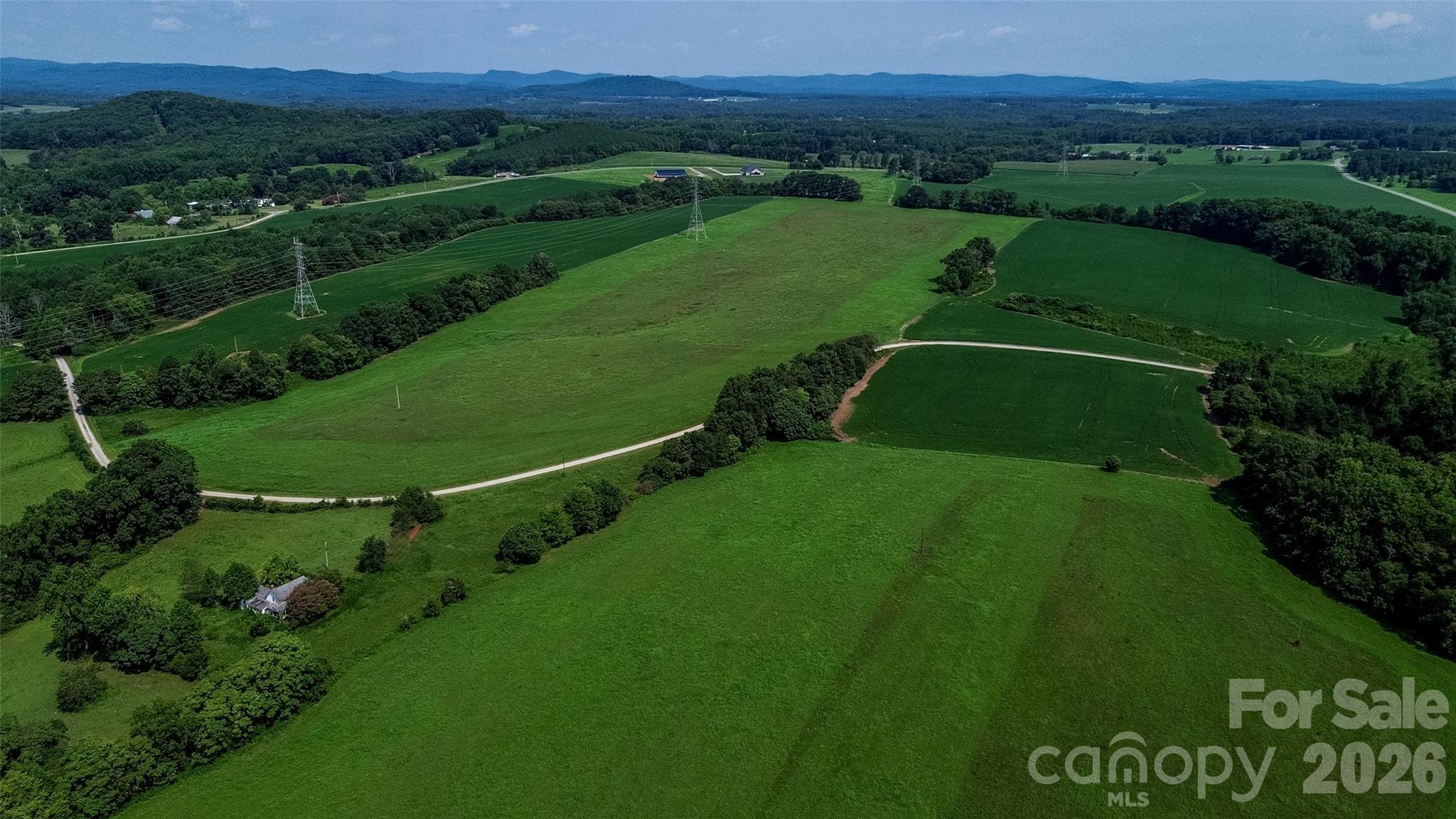 40-ac Amble Road Olin, NC 28660 - Photo 12 of 29 Gallery Image 12